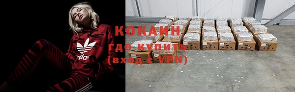 шишки Армянск
