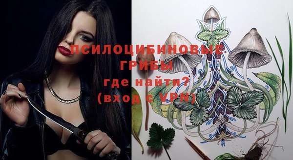 шишки Армянск