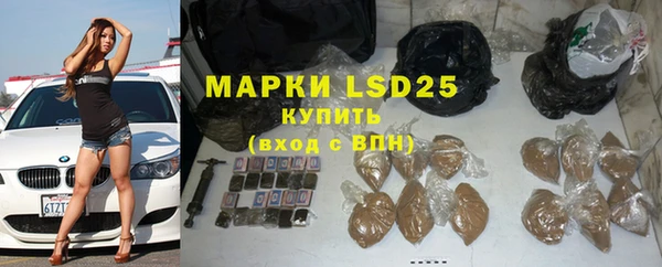 шишки Армянск