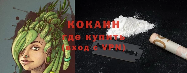 шишки Армянск