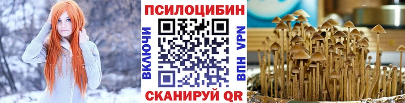 Псилоцибиновые грибы Cubensis  закладки  Кондрово 